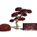 Red Leaf Tree with Brown Trunk and Round Rectangular Shrubs in Garden 3d model