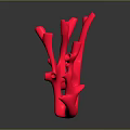 Vibrant Red Marine Animal With Coral Like Shape In Underwater Habitat