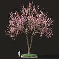 Sakura Inspired Food Display With Pink Blossom Tree And Green Grass