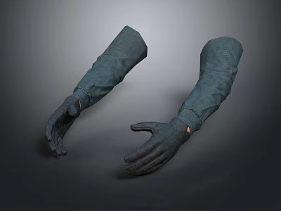 Detailed Hand Organ Hairy Gloves Featuring Soft Fur and Lifelike Appearance 3d model