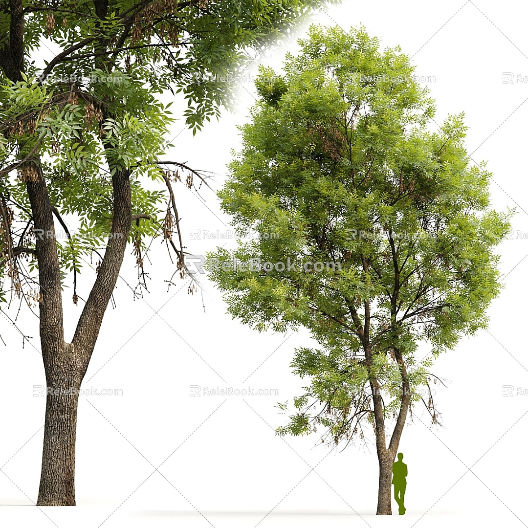 Modern Tree Landscape Tree Big Tree 3d model