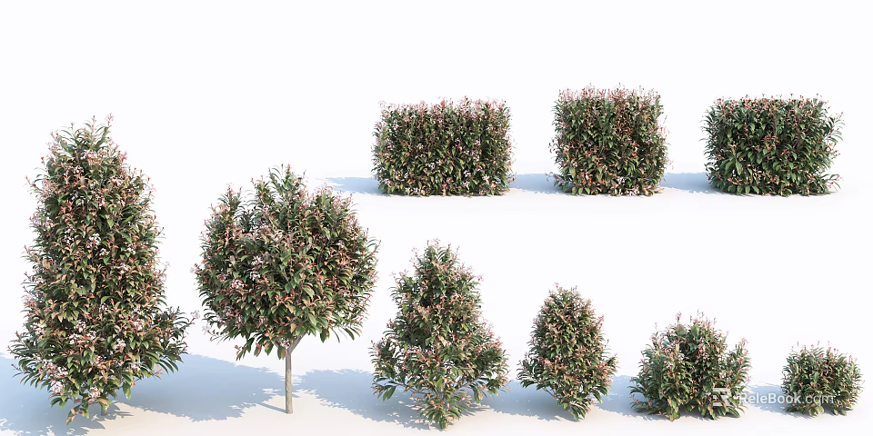 Different Shaped Garden Bushes Featuring Green And Pink Foliage For Landscaping 3d model 
