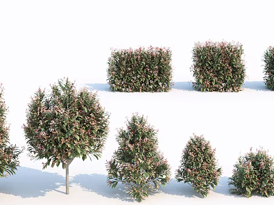Different Shaped Garden Bushes Featuring Green And Pink Foliage For Landscaping 3d model