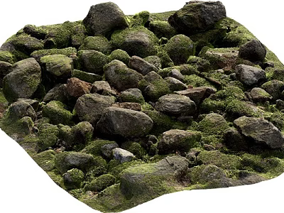 Natural Stone and Wood with Lush Green Moss in Outdoor Environment 3d model