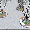 Modern Tree Planters With Wooden Benches Pebbles And Green Plants On Square Tiles