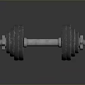 Black Metal Dumbbell With Weight Plates For Home Household Fitness Use