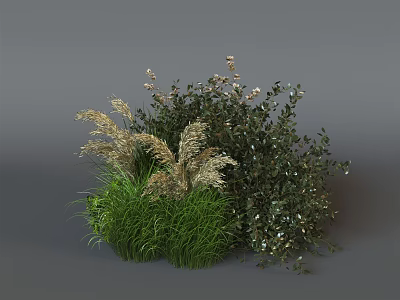 Various Green And Golden Leaf Shrubs For Garden Landscape Decoration 3d model