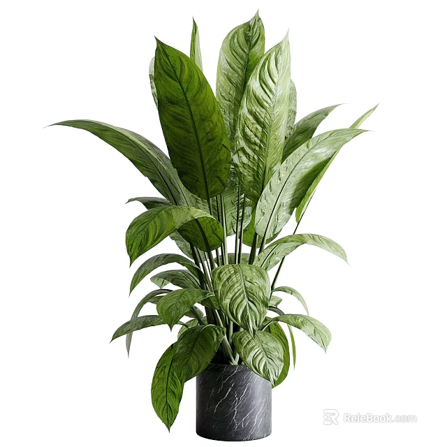 Elegant Green Leafy Plants in Black Marble Vase for Home Decoration 3d model 