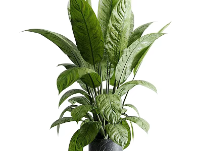 Elegant Green Leafy Plants in Black Marble Vase for Home Decoration 3d model