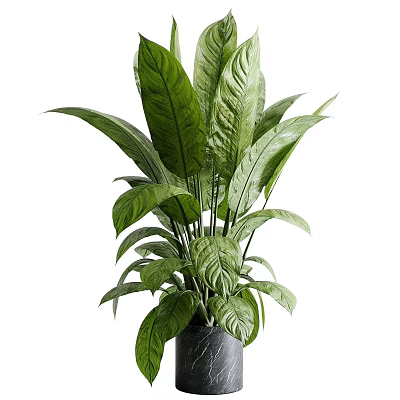 Elegant Green Leafy Plants in Black Marble Vase for Home Decoration 3d model