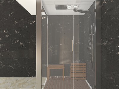 Modern Sauna Room Sauna Shower Room model