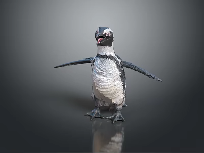 Realistic Black And White Penguin Standing With Open Wings On Gray Reflective Background 3d model
