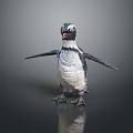 Realistic Black And White Penguin Standing With Open Wings On Gray Reflective Background