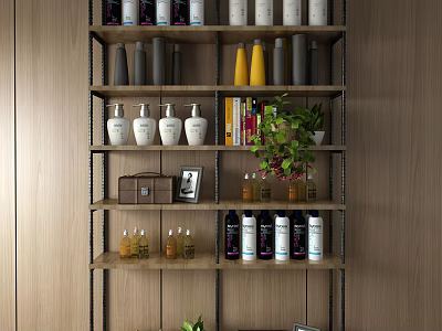 Modern Storage Shelf With Various Bottles Books Photo Frame And Plant On Wooden Wall 3d model