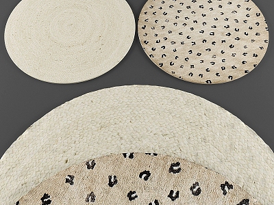 Modern Round Carpet 3d model