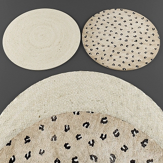 Modern Round Carpet 3d model