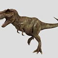 Dinosaur Tyrannosaurus Rex 3d model