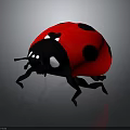 Cartoon Ladybug With Red Back Black Spots And White Eyes On Dark Background