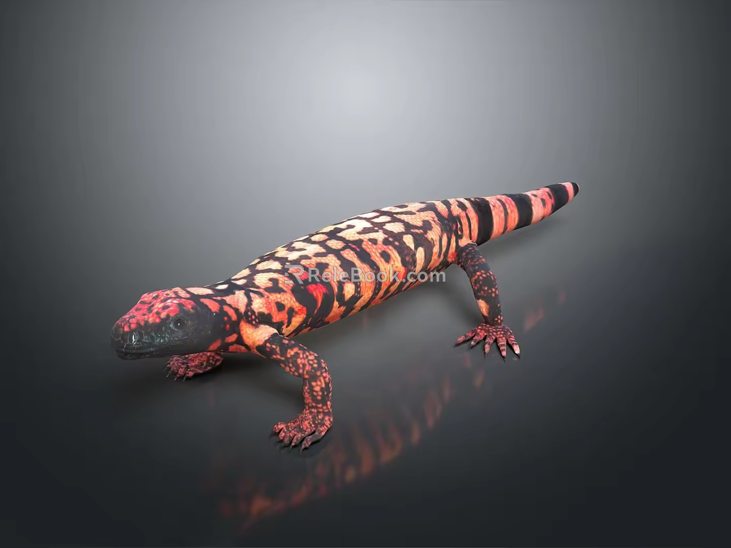 Lizard Anime Lizard Cartoon Lizard Reptile Cold Blooded Animal Reptile 3d model