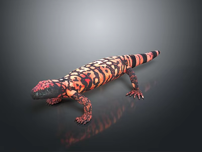 Colorful Reptile Lizard with Orange Black and Red Patterns on Dark Reflective Surface 3d model