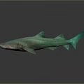 Turquoise Shark Aquatic Animal 3D Rendered With Smooth Surface And Grey Background Reflection 3d model