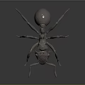 Metallic Ant Model with Detailed Legs Body Structure and Textured Surface on Dark Background