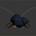 Dwelling crab sea crab river crab hairy crab bread crab hermit crab big crab small crab 3d model