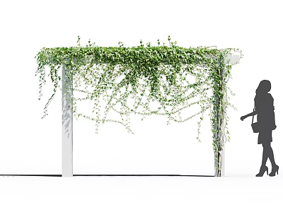 Lush Vines Cover White Pergola Near Silhouette Of A Woman 3d model