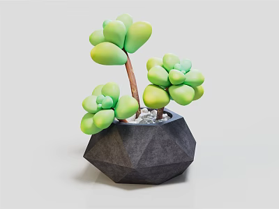 Decorative Green Clustered Succulent Plant in Modern Black Geometric Vase with Plump Leaves 3d model