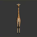 Giraffe With Long Neck And Spotted Pattern Standing On Shiny Floor Against Grey Background