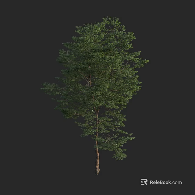 Lush Green Arbor With Thick Trunk And Dense Foliage Structure 3d model