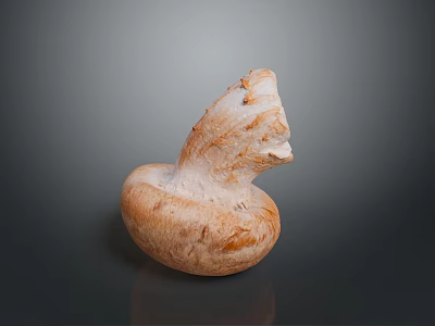 Fresh Brown Whole Mushroom with Smooth Surface and Natural Texture Ideal Ingredient for Healthy Cooking 3d model