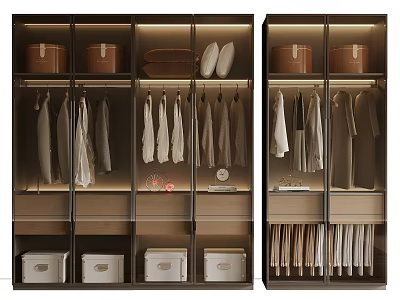 Modern Wardrobe Interior Design With Built-in Lighting Storage Boxes Baskets And Hanging Clothes 3d model