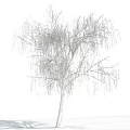The Modern Tree 3d model