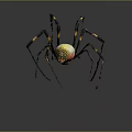 Yellow Black and Red Spider with Black and Yellow Banded Legs and Vibrant Colored Body