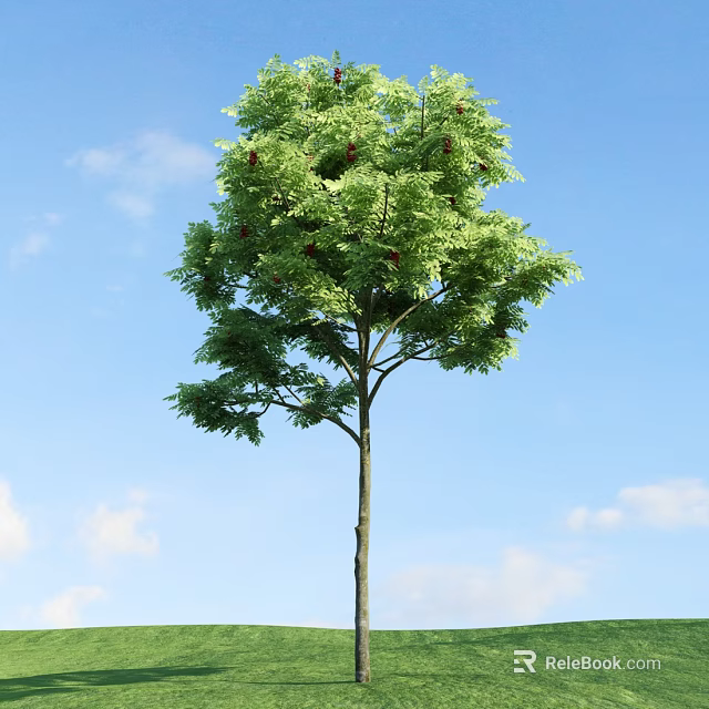 Tall Arbor With Lush Green Leaves Upright Trunk Against Blue Sky And White Clouds 3d model 