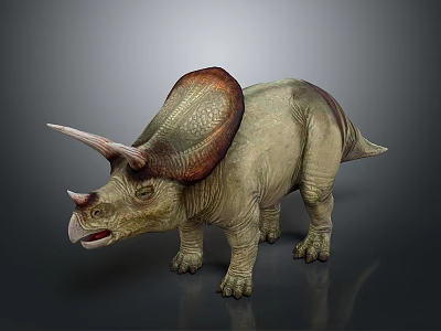 Detailed Triceratops Dinosaur 3D Model With Large Frill Sharp Horns And Realistic Skin 3d model