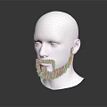 Men's Stylish Beard Design Featuring Goatee And Mustache On White Head Model