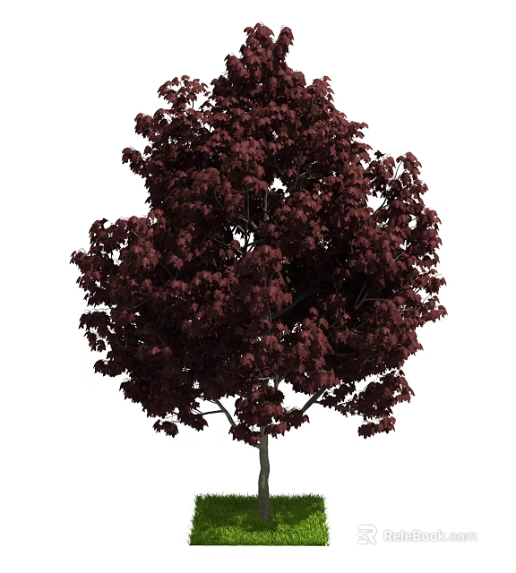 Lush Tree With Dark Red Leaves And Dense Canopy Structure 3d model 