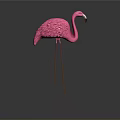 Pink Flamingo with Long Legs and Curved Neck Standing on Dark Background with Reflection