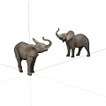 Two Gray Elephants Standing And Interacting With Raised Trunks On White Background 3d model