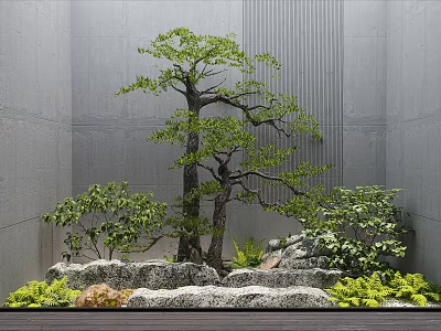 Serene Courtyard Garden With Bonsai Tree Stones Greenery And Gray Concrete Wall 3d model