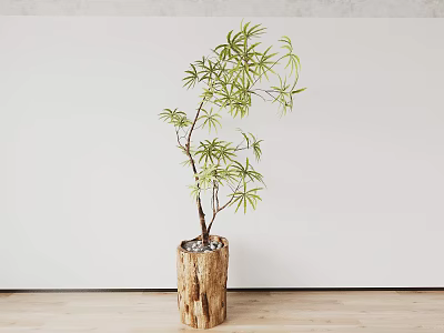 bonsai bonsai flower pot plant green plant 3d model