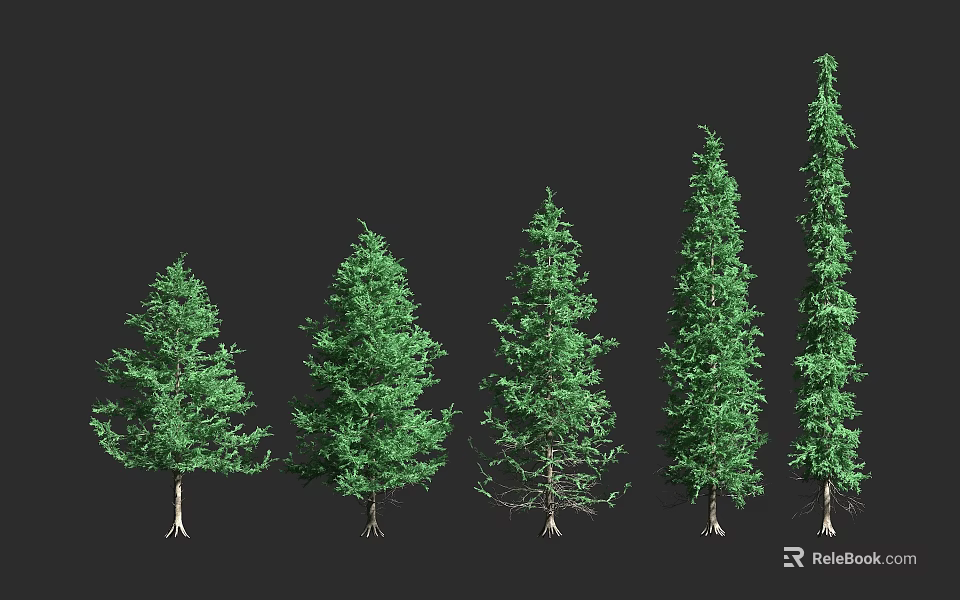 Evergreen Trees With Various Shapes And Green Foliage Displayed In A Row 3d model 