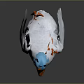 Cute Duck With Blue Head White Body And Orange Beak And Feet