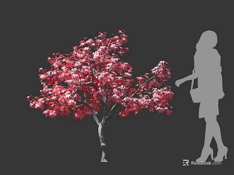 Vibrant Red Flowering Tree With Lush Blooms And Woman Silhouette Standing Nearby 3d model 