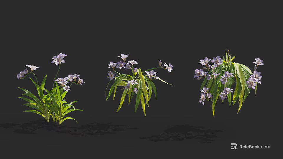 Three bouquets of flowers with purple blooms and green leaves arranged on black background 3d model 