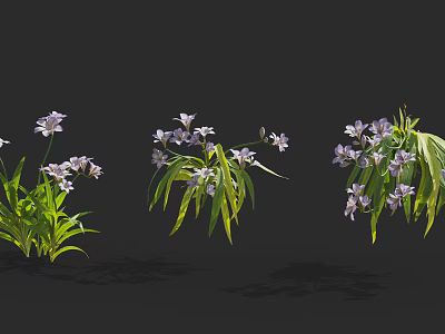 Three bouquets of flowers with purple blooms and green leaves arranged on black background 3d model
