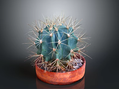 Green Spherical Cactus With Sharp Thorns In Red Terracotta Pot On Dark Background 3d model