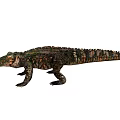 Reptile Crocodile Featuring Detailed Green Brown Scales Powerful Limbs And Long Tail